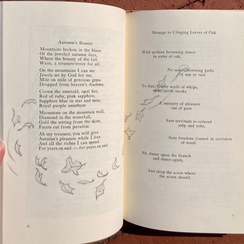 Whale Oil Lamp Dede Hamilton Yankee Poetry Newburyport Press Nautical Poems - Picture 8 of 15